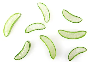 Freeze Dried Aloe Vera Powder Freeze Dried Aloe Vera Powder