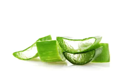 Freeze Dried Aloe Vera Powder Freeze Dried Aloe Vera Powder