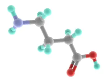 Bulk Gamma aminobutyric acid powder Bulk Gamma aminobutyric acid powder