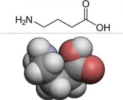 Bulk Gamma aminobutyric acid powder Bulk Gamma aminobutyric acid powder