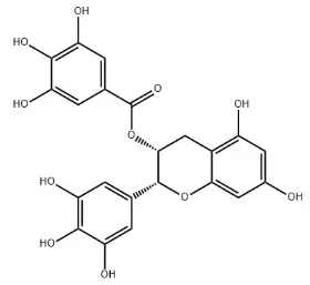 Bulk Oolong Tea Extract