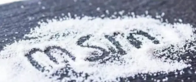 MSM Powder Bulk