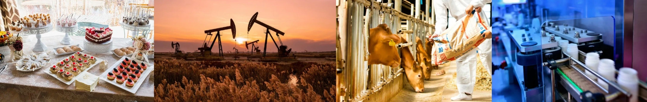 Calcium Magnesium Inositol Hexaphosphate Calcium Magnesium Inositol Hexaphosphate