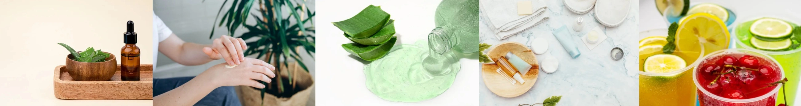 Aloe Vera Extract Liquid Aloe Vera Extract Liquid
