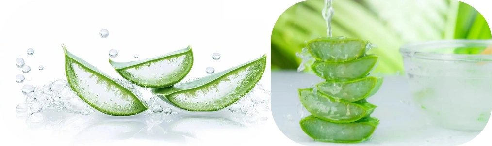 Aloe Vera Extract Liquid