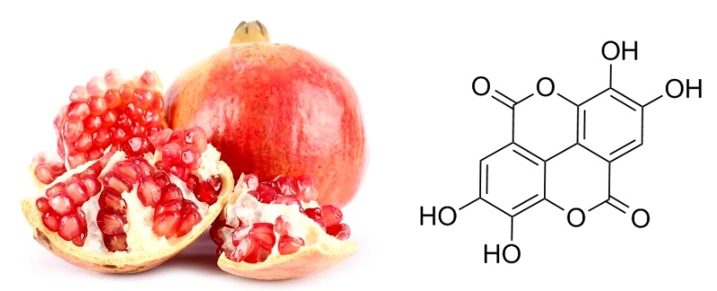 Ellagic Acid Bulk Ellagic Acid Bulk