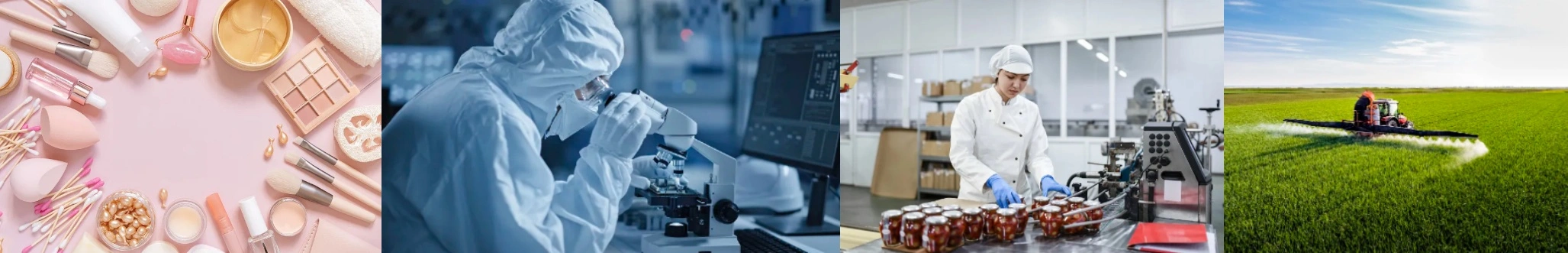 Ellagic Acid Bulk Ellagic Acid Bulk