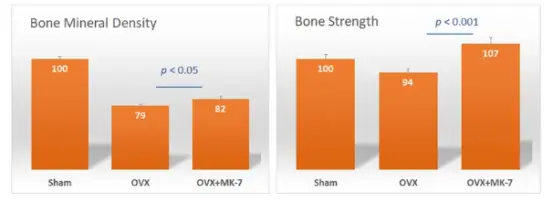 Vitamin K2 Bulk Vitamin K2 Bulk