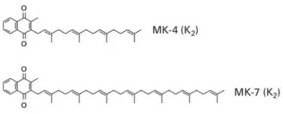 Vitamin K2 Bulk Vitamin K2 Bulk