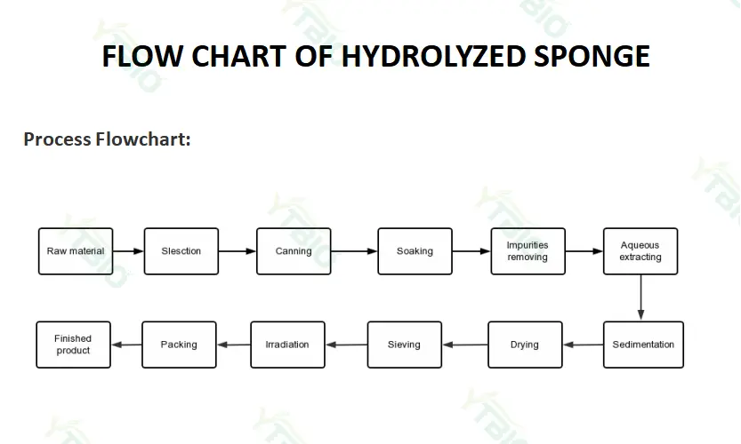 Hydrolyzed Sponge Spicules Hydrolyzed Sponge Spicules