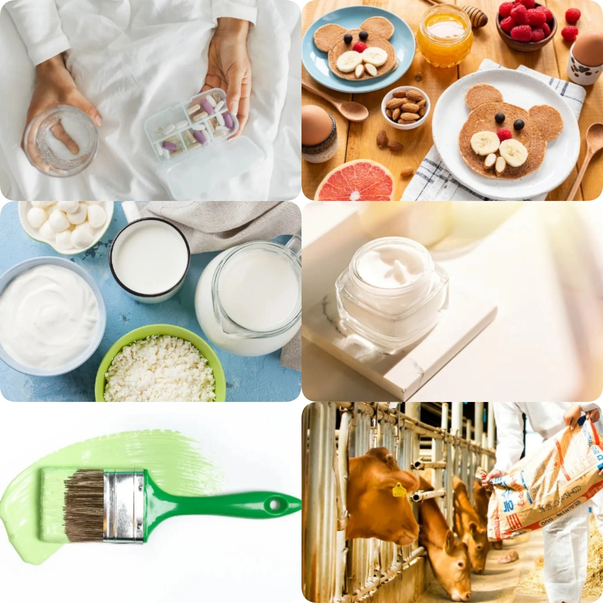 Green Mung Bean Protein Green Mung Bean Protein