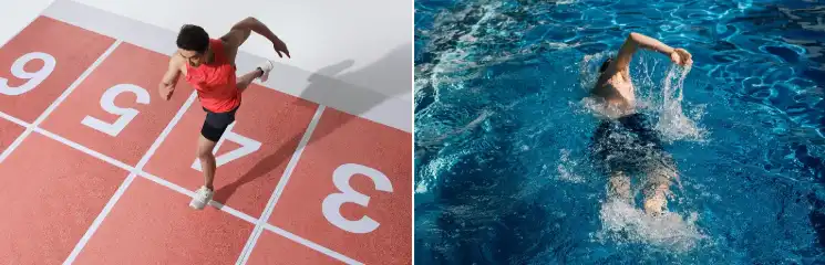 type ii collagen supplement type ii collagen supplement