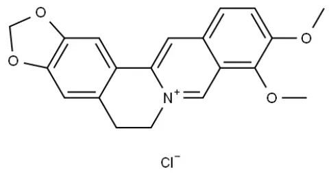berberine hydrochloride powder berberine hydrochloride powder