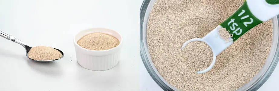 Yeast Extract Protein Yeast Extract Protein