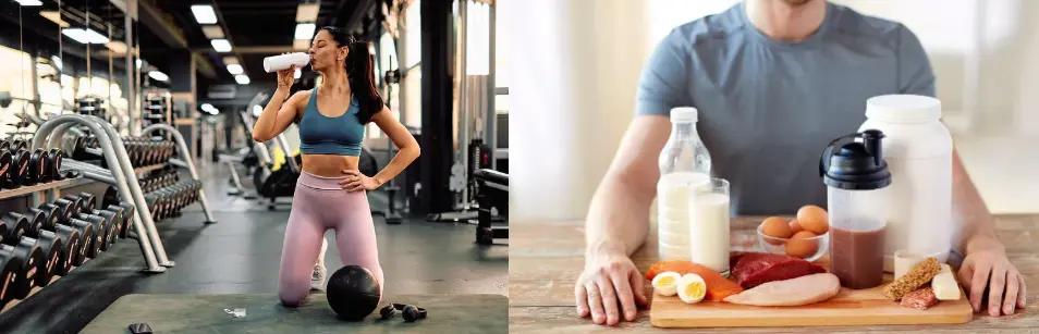 Yeast Extract Protein Yeast Extract Protein