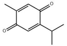 Black Seed Extract Powder