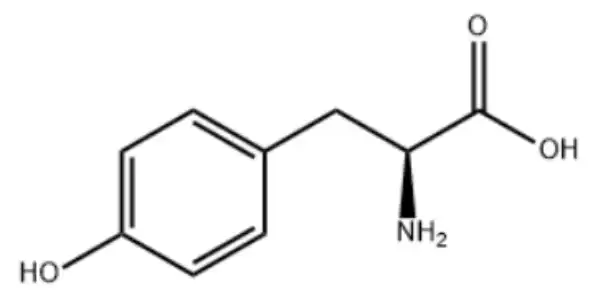l-tyrosine powder l-tyrosine powder