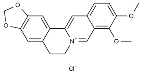 berberine hcl powder
