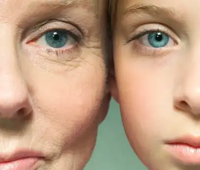 pdrn powder pdrn powder