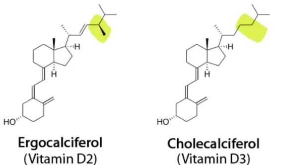 Vitamin D3 Bulk Powder