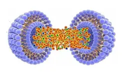 liposomal vitamin c powder liposomal vitamin c powder