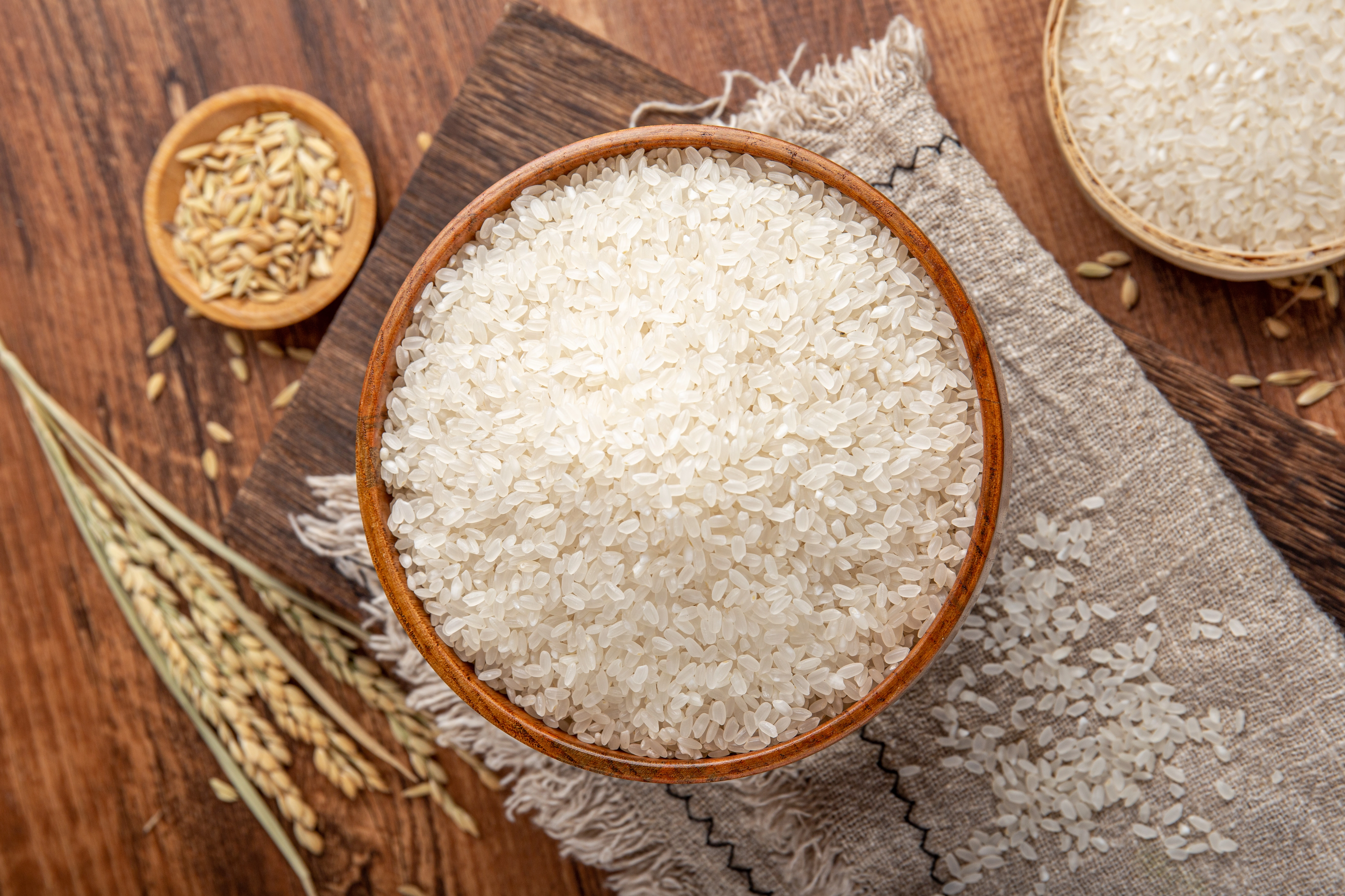 organic rice protein