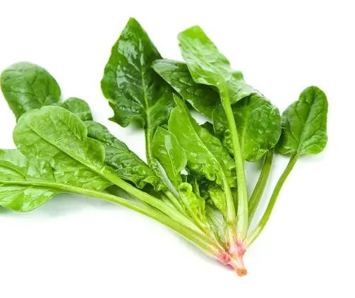  spinach powder 