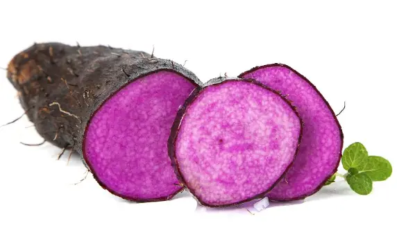 purple yam purple yam