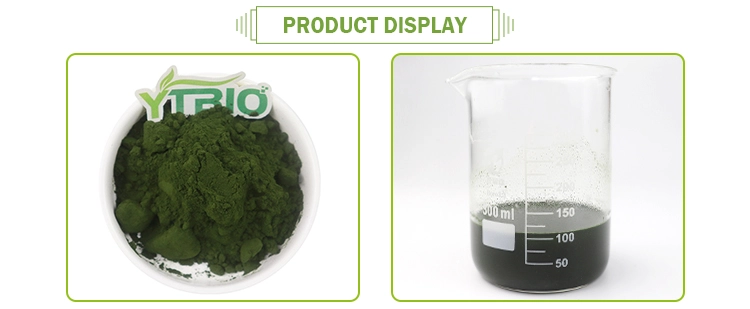 Organic Chlorella Powder