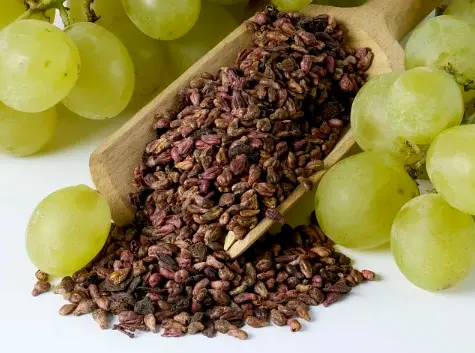 Grape Seed Extract 
