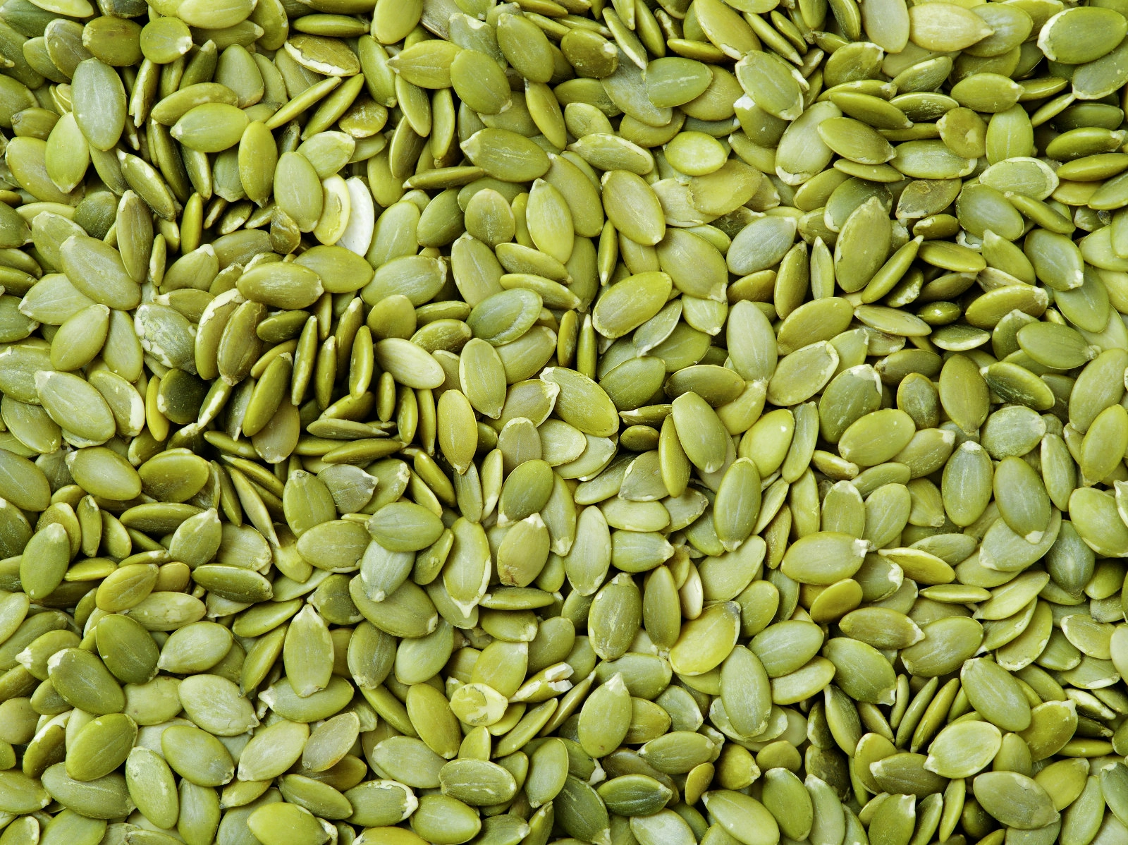 pumpkin seed protein