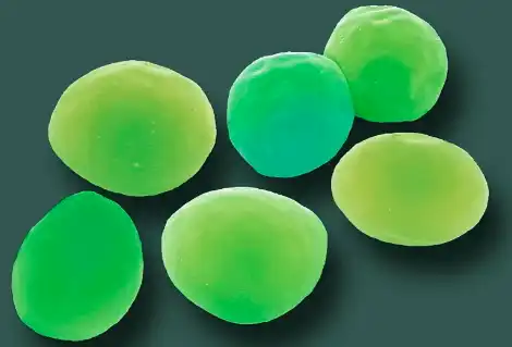 chlorella growth factor chlorella growth factor