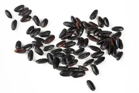 Black Rice Extract Powder Black Rice Extract Powder