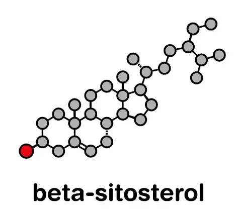 Beta Sitosterols