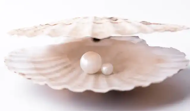 Bulk Pearl Powder Bulk Pearl Powder