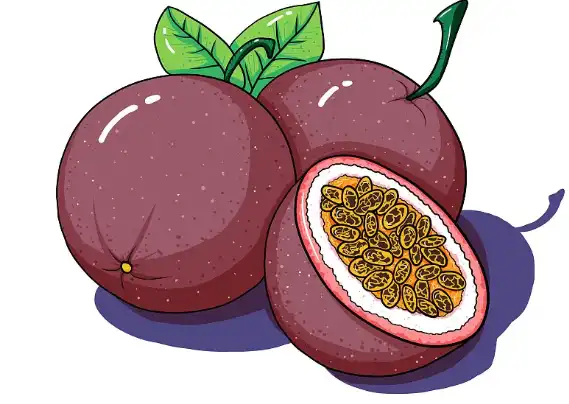 Passion Fruit Extract Powder