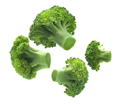 Broccoli Powder Bulk Broccoli Powder Bulk