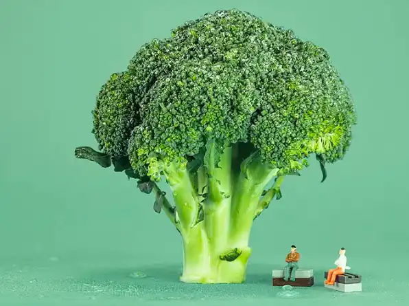 Broccoli Powder Bulk Broccoli Powder Bulk