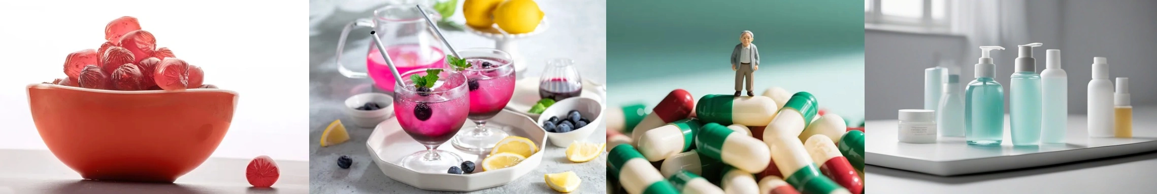 Blueberry Anthocyanins Powder