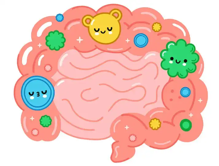 Resistant Dextrin Bulk