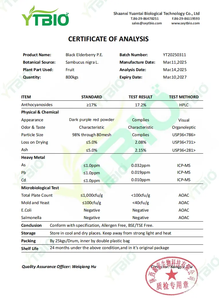 Elderberry Extract Powder