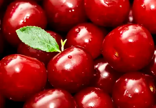 tart cherry powder