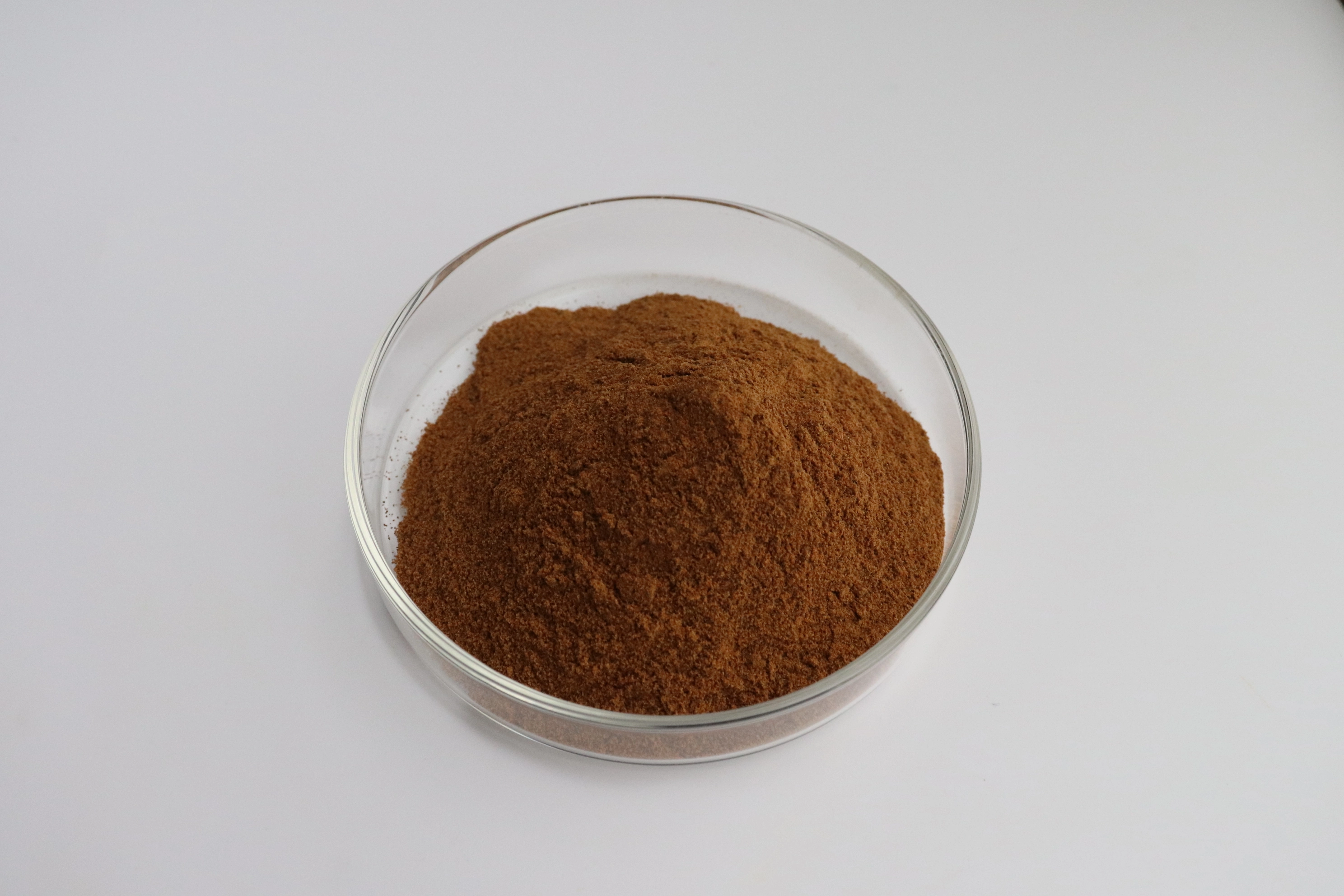 Bulk Reishi Powder Bulk Reishi Powder