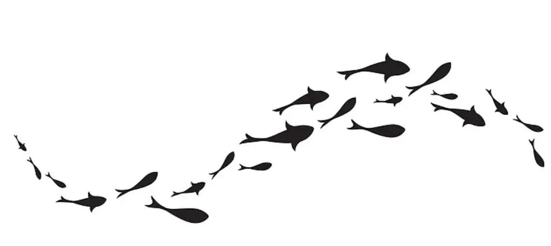 Hydrolyzed Fish Collagen Powder Hydrolyzed Fish Collagen Powder