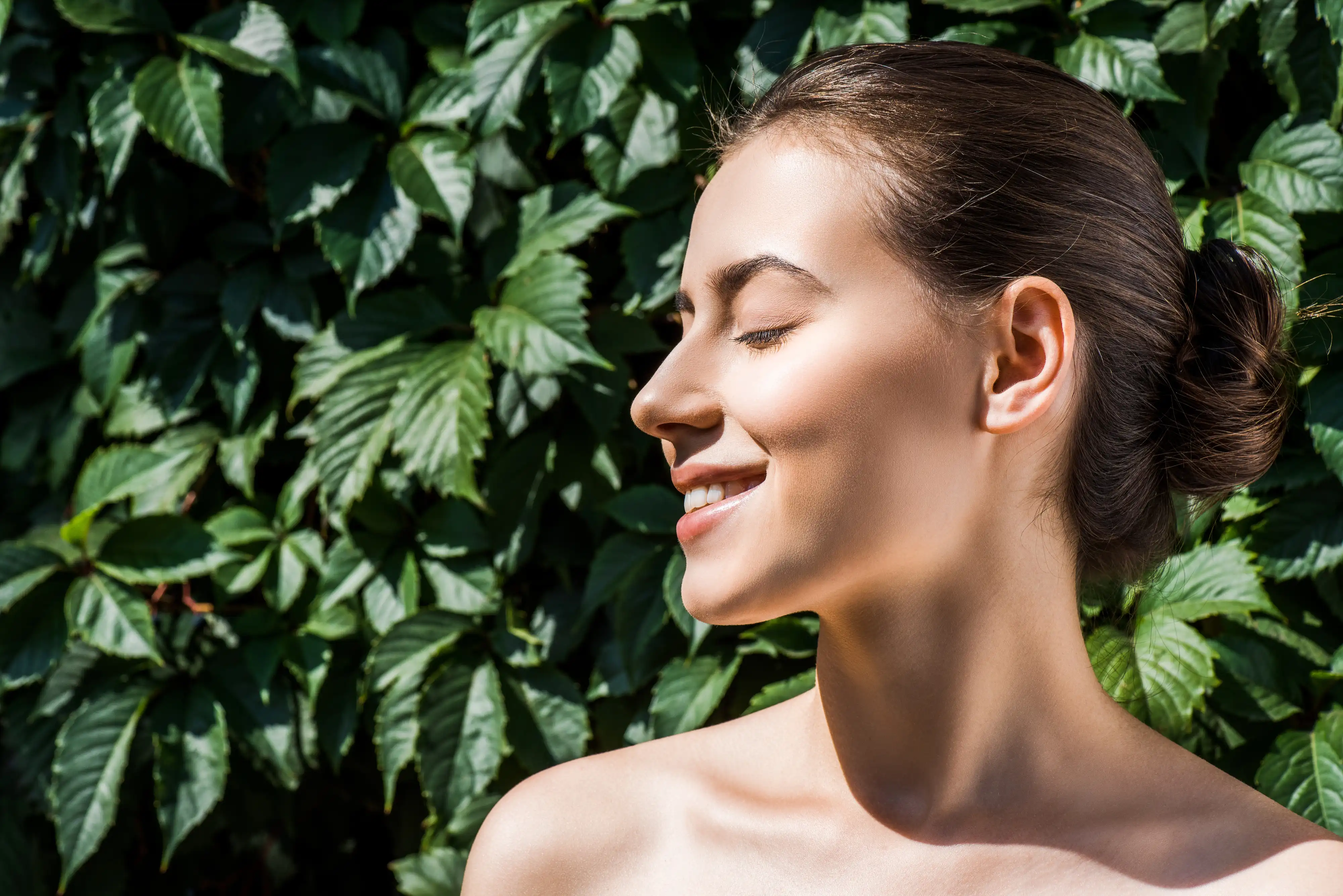 Okra Extract Powder Okra Extract Powder