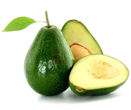 Avocado Fruit Powder