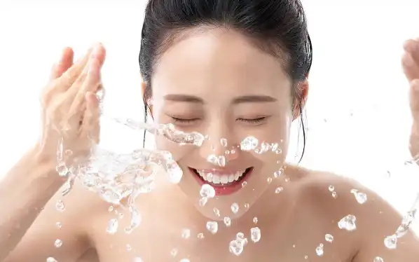 Avocado Fruit Powder