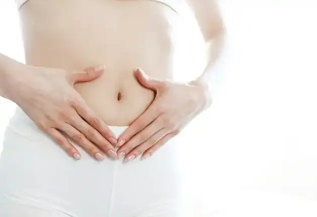 Noni Fruit Powder in Bulk