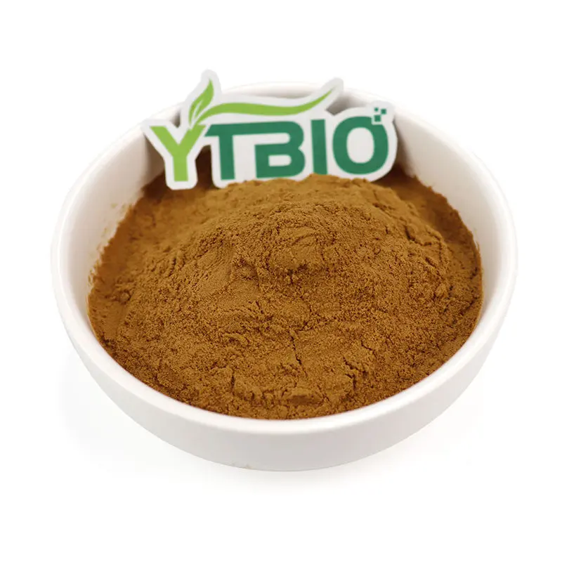 Cinnamon Bark Extract Powder