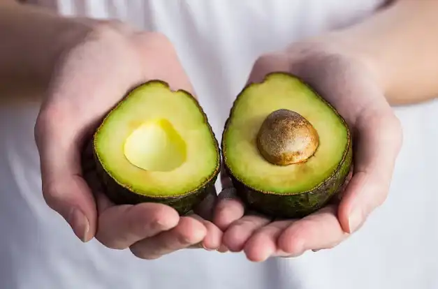 Avocado Fruit Powder Avocado Fruit Powder